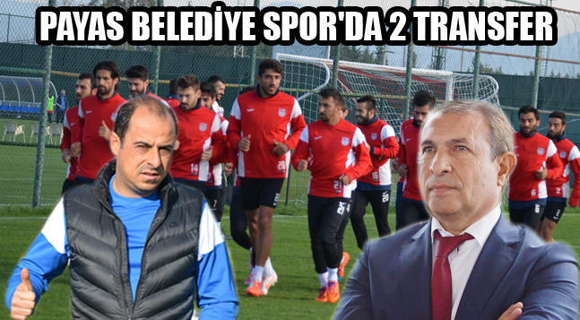 sıte copy